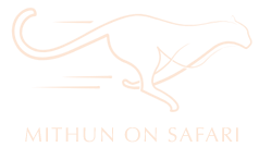 Mithun on Safari
